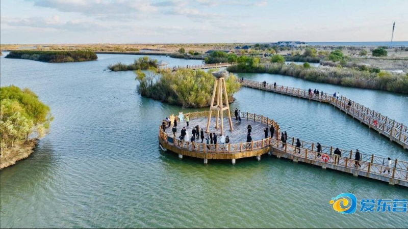 季后赛G5 季后赛G5